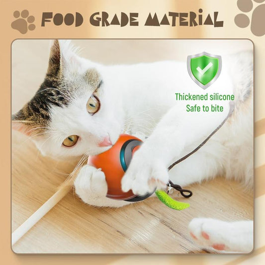 Interactive Cat Toy Ball 2024 - Self Rolling Smart Cat Dog Ball with Feathers for Bored Indoor Adult Cats, Automatic Rolling Feature Kitten
