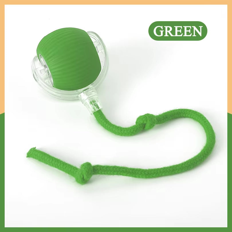 Dropshipping Interactive Cat Toys Ball Fast Rolling in Pouch Kitten Toy Motion Activated Interactive Cat Toy for Indoor