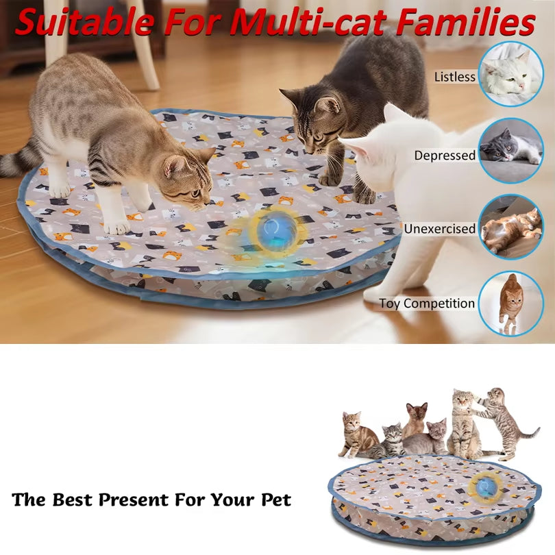 Dropshipping Interactive Cat Toys Ball Fast Rolling in Pouch Kitten Toy Motion Activated Interactive Cat Toy for Indoor