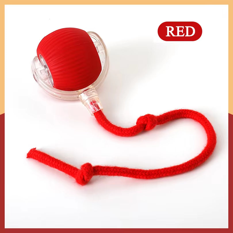Dropshipping Interactive Cat Toys Ball Fast Rolling in Pouch Kitten Toy Motion Activated Interactive Cat Toy for Indoor