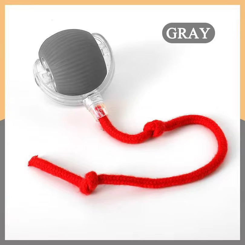 Dropshipping Interactive Cat Toys Ball Fast Rolling in Pouch Kitten Toy Motion Activated Interactive Cat Toy for Indoor