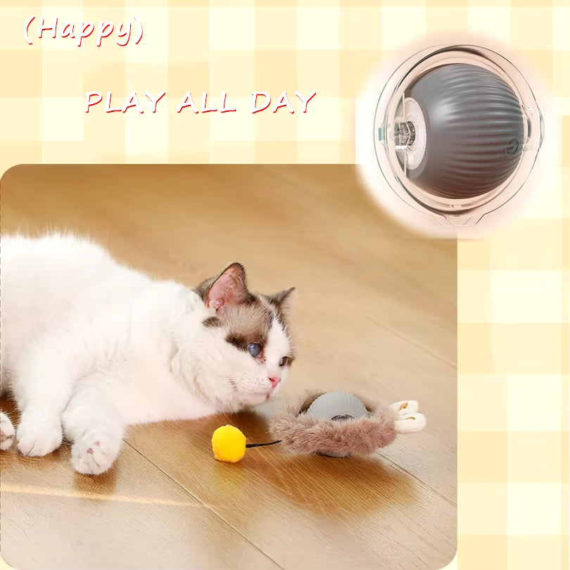 Dropshipping Interactive Cat Toys Ball Fast Rolling in Pouch Kitten Toy Motion Activated Interactive Cat Toy for Indoor