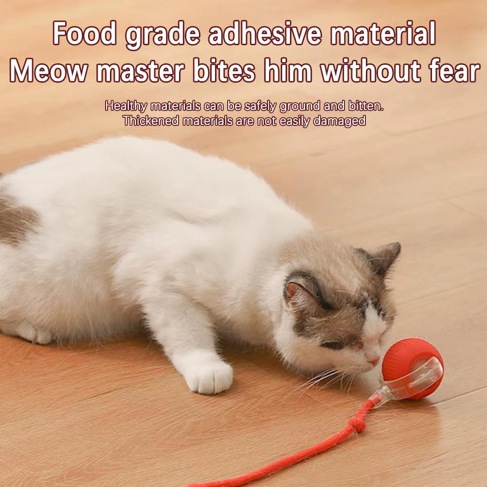 Interactive Cat Rolling Ball Super Drive Cat Rolling Balls with Bird Chirping Motion Activated Sensor Pet Kitten Teaser Game Toy